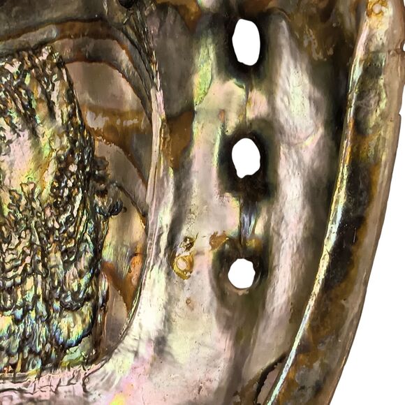 Vintage Large Abalone Shell Seashell Shiny Green Blue Yellow Pink Silver 8"x6" - Picture 3 of 12